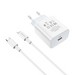 Адаптер питания BOROFONE BA38A Speedly PD+QC 3.0 fast Charger Type-C to Lightning (USB-C: 5V max 3.0A/ 20Вт) Белый - фото 83168