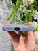 Чехол силиконовый Кроссовок для iPhone 15 Pro Max (6.7") Серый - фото 90562